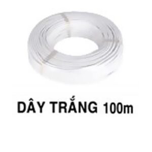 DÂY TRẮNG 100m